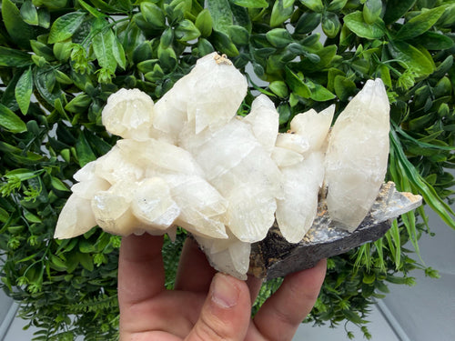 Calcite on Green Quartz: Laki Bulgaria Healing Crystal