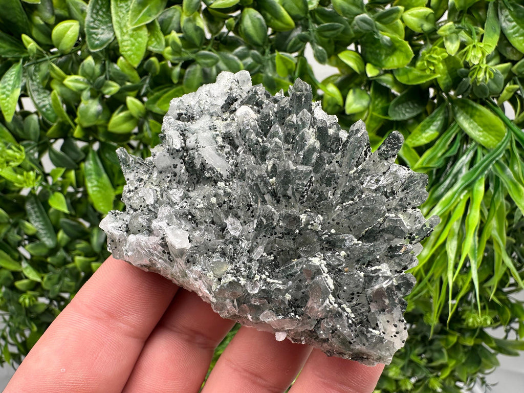 Chlorite Quartz Crystal Cluster - Borieva Mine, Bulgaria