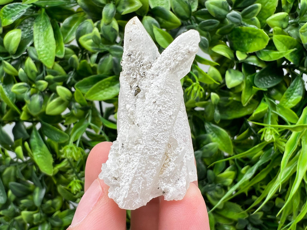 Transparent Quartz on Chlorite Matrix, Borieva Mine, Bulgaria