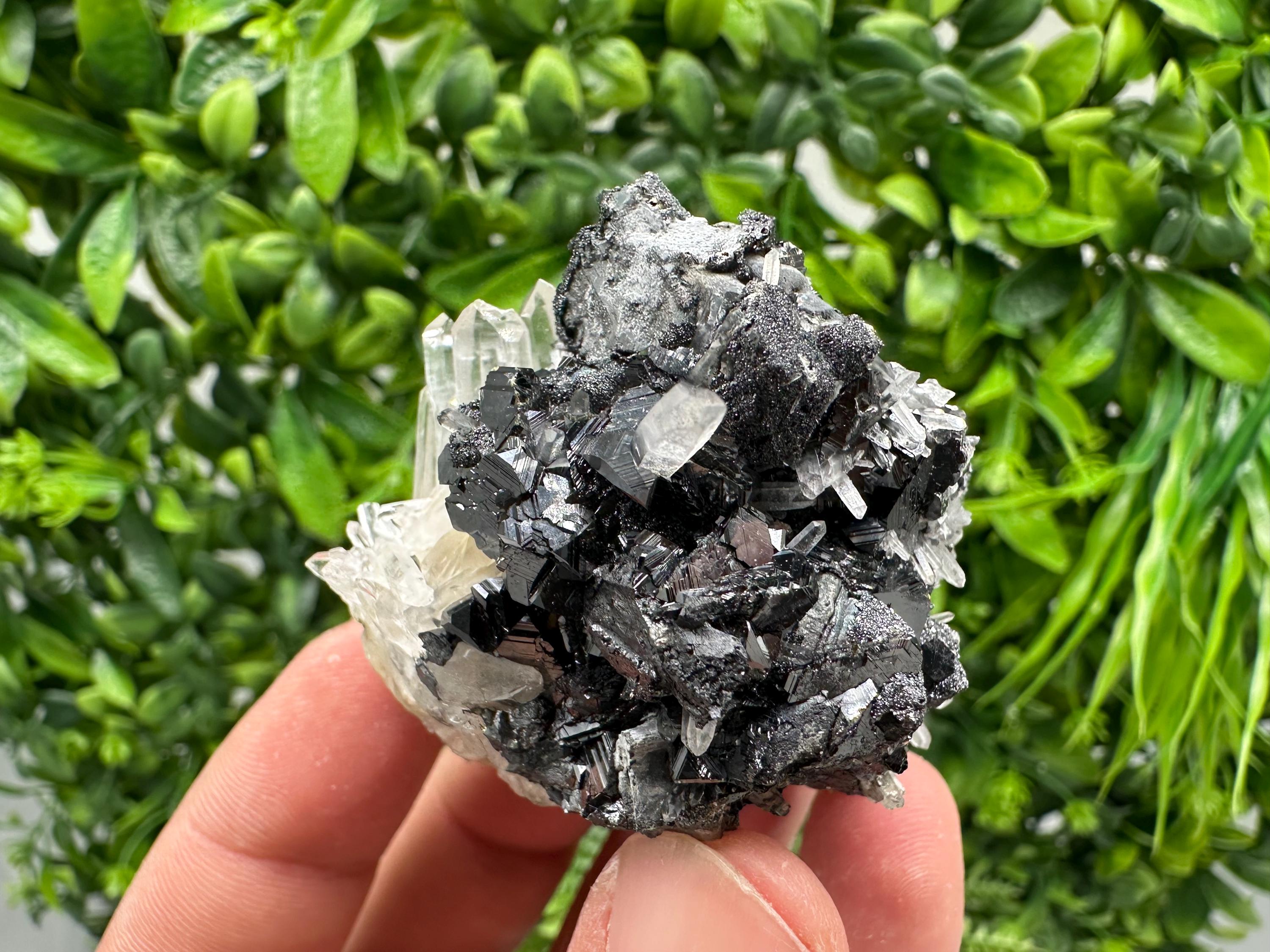 Wonderful Sphalerite Chalcopyrite on  Quartz whit Galena feom 9 th September mine,Bulgaria,natural,collection mineral specimen,gift