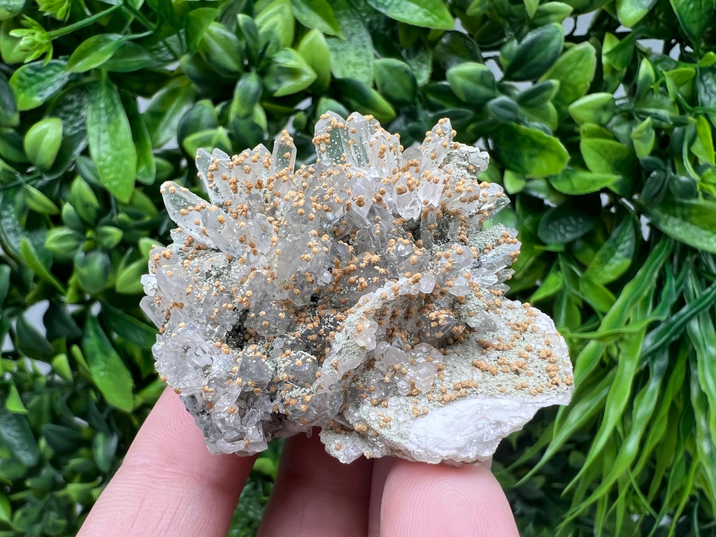 Quartz whit Brown Rhodochrosite from Djurcovo mine,Bulgaria,Quartz,Rhodochrosite cluster,natural mineral,collection crystal,mineral specimen