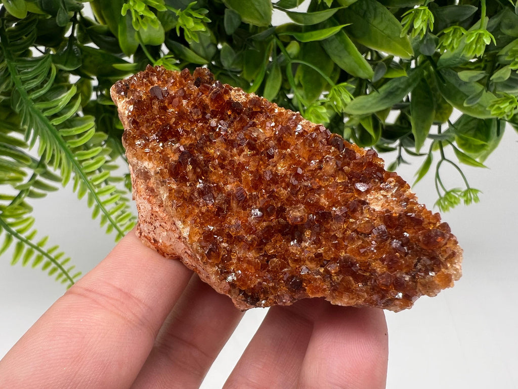 Brazilian Citrine Crystal Cluster with Hematite Inclusions
