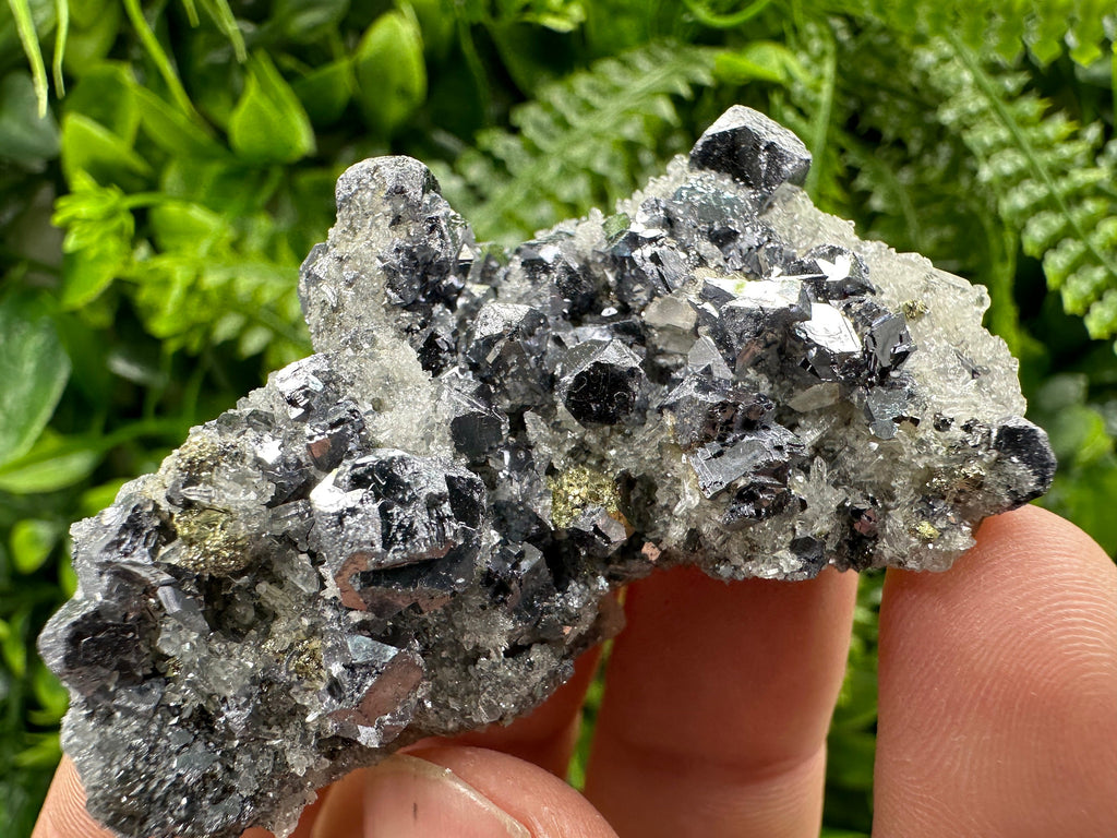 Galena Chalcopyrite on Quartz: Crystal Home Decor, Borieva Mine