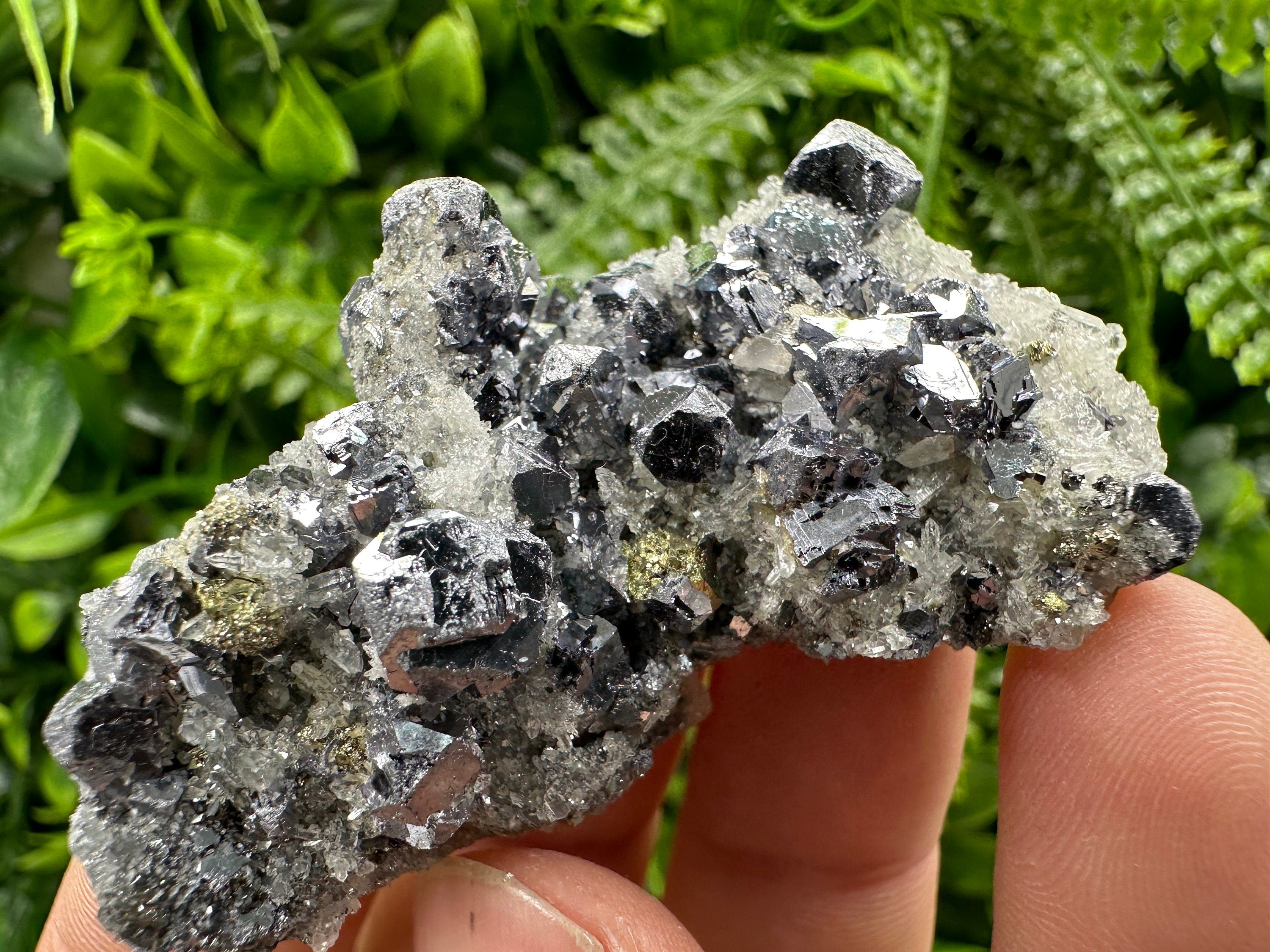 Galena Chalcopyrite on Quartz: Crystal Home Decor, Borieva Mine