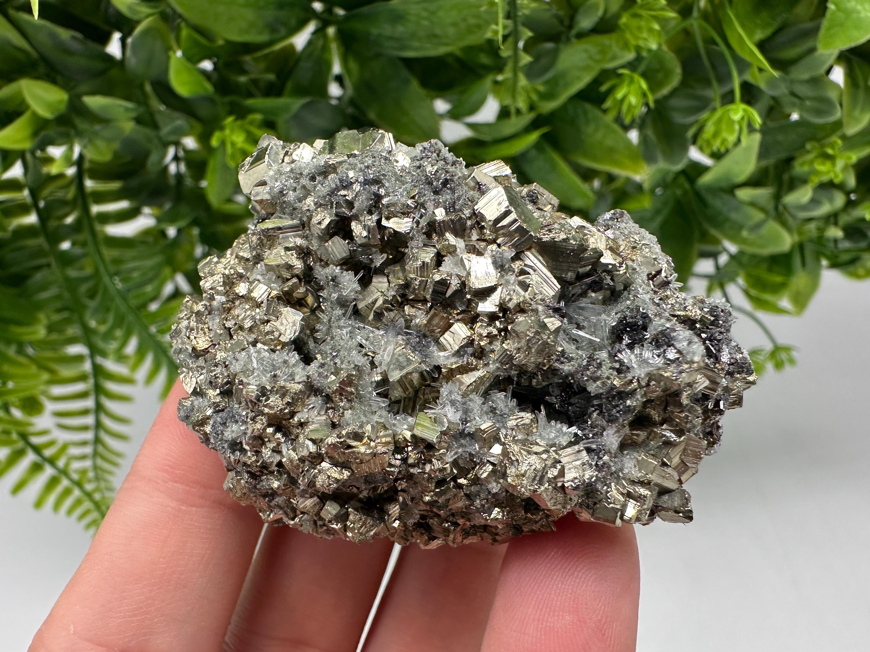 Pyrite on Green Quartz: Rare Mineral Specimen, Borieva Mine