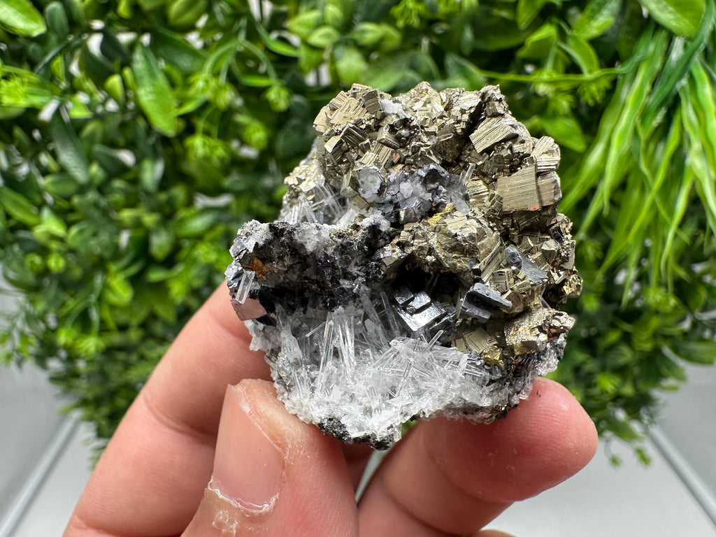 Rainbow Pyrite with Quartz: Natural Mineral Souvenir, Bulgaria