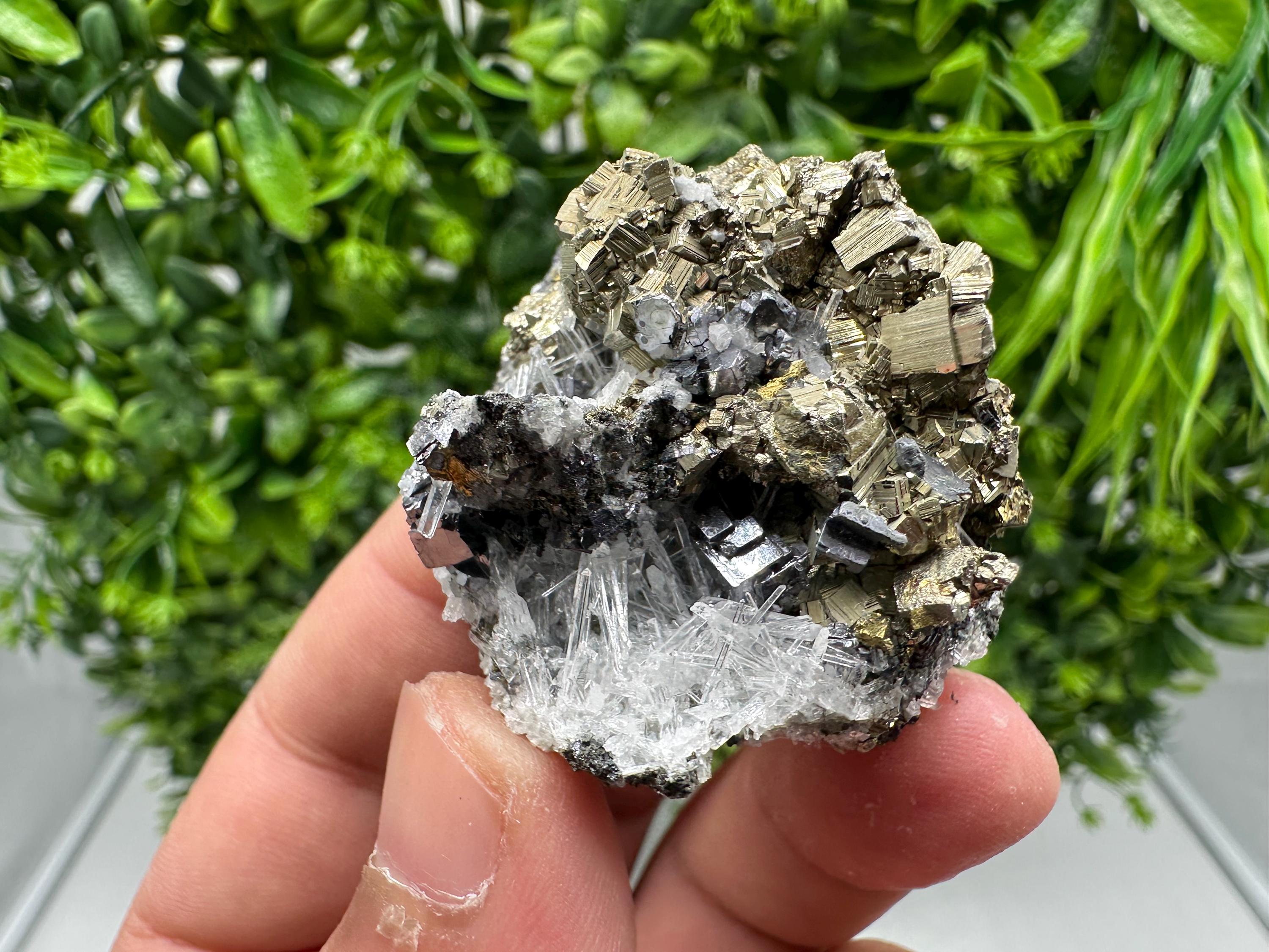 Rainbow Pyrite with Quartz: Natural Mineral Souvenir, Bulgaria