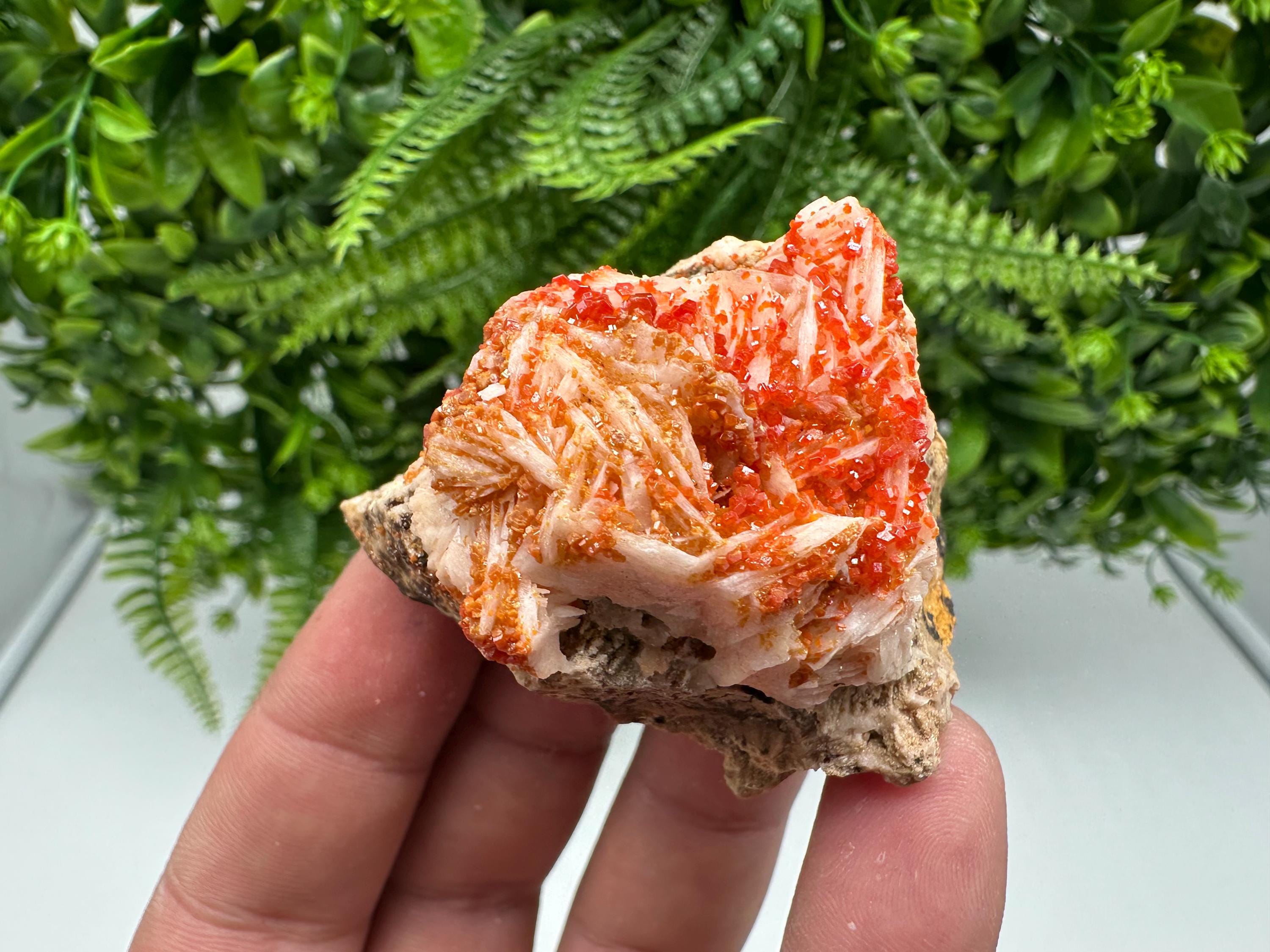 Red Vanadinite on Barite from Marocco,crystal minerals Speciment cluster Vanadinite crystal Vanadinite Geology Vanadinite cluster minerals