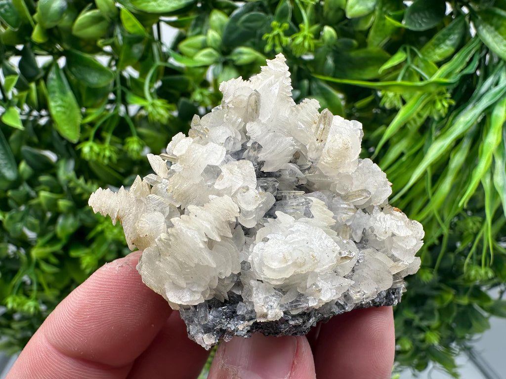 Quartz with Calcite and Chlorite: Borieva Mine Crystal Souvenir