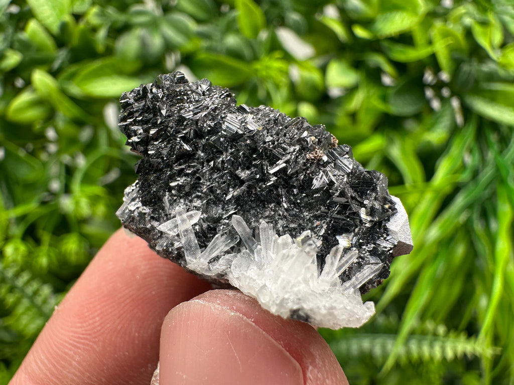 Sphalerite on Green Quartz, Borieva Mine Mineral Specimen