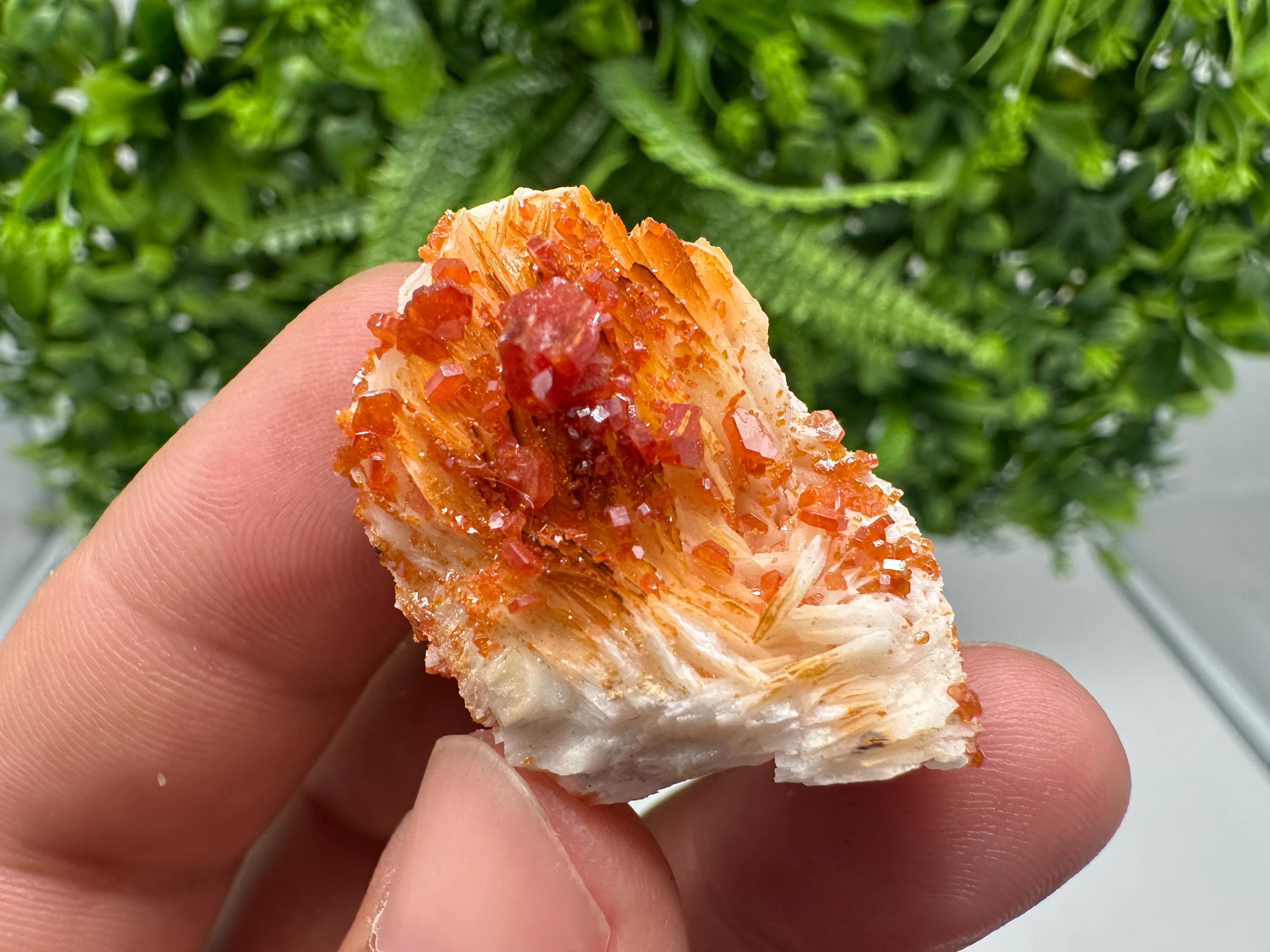 Red Vanadinite on Barite from Marocco,crystal minerals Speciment cluster Vanadinite crystal Vanadinite Geology Vanadinite cluster minerals