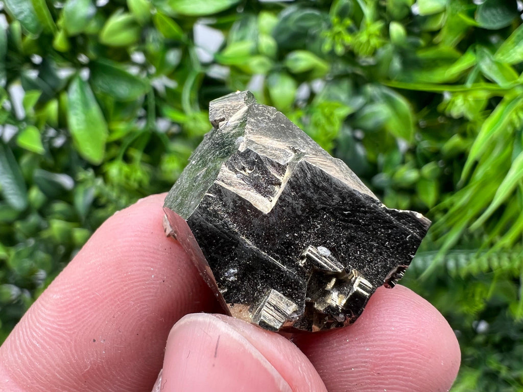 Rare Crystallization Pyrite Cluster, Borieva Mine, Bulgaria