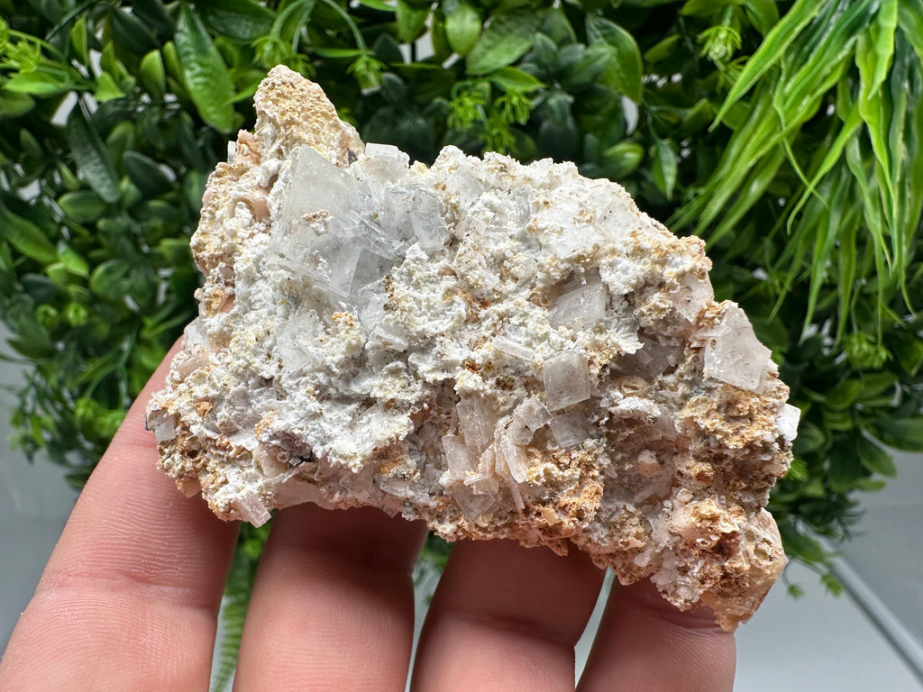 Dolomite Mangano Calcite with Barite on Marcasite, Androvo Mine Bulgaria