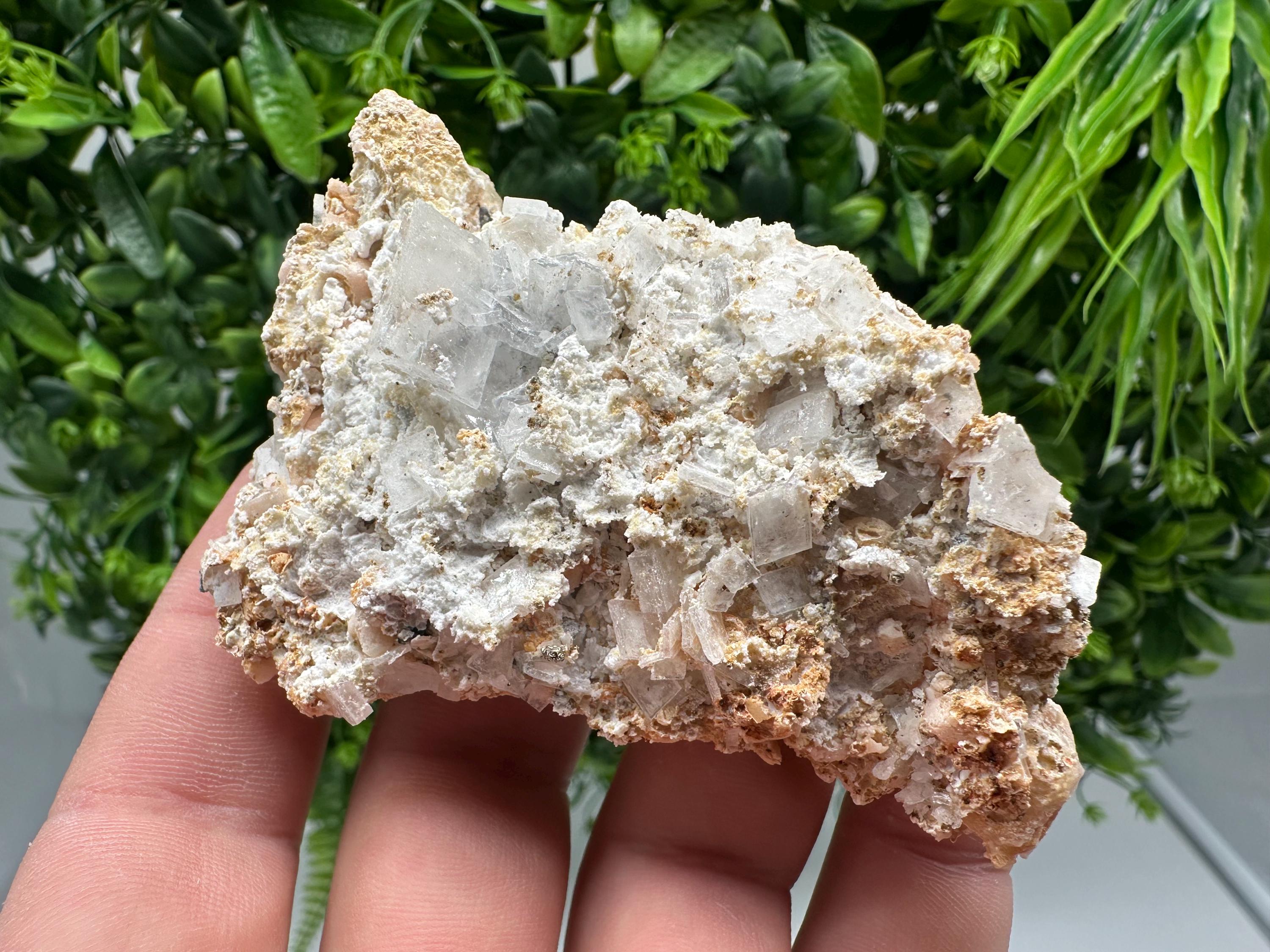 Dolomite Mangano Calcite with Barite on Marcasite, Androvo Mine Bulgaria