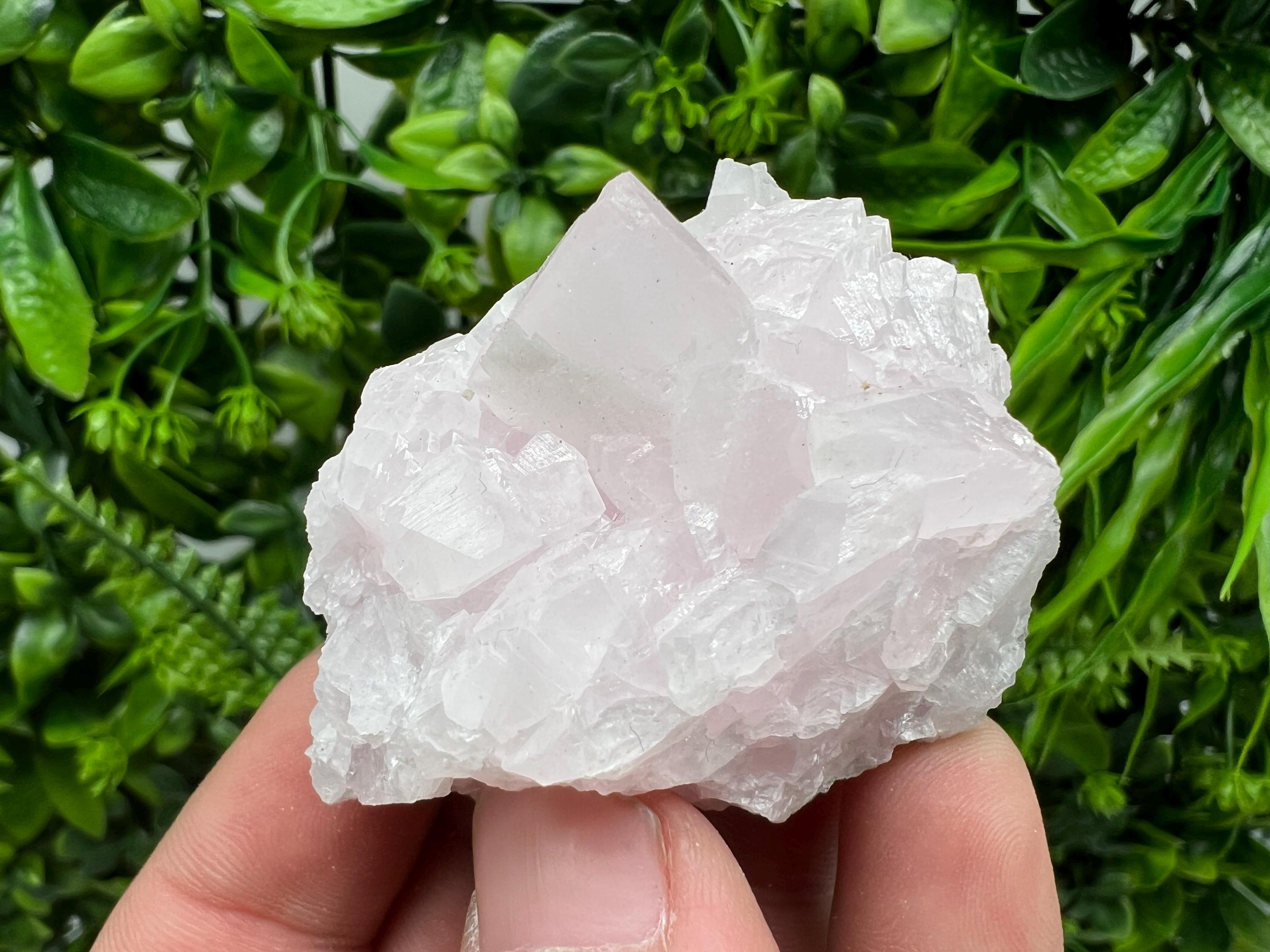 UV Reactive Mangano Calcite Crystal: Androvo Mine, Bulgaria