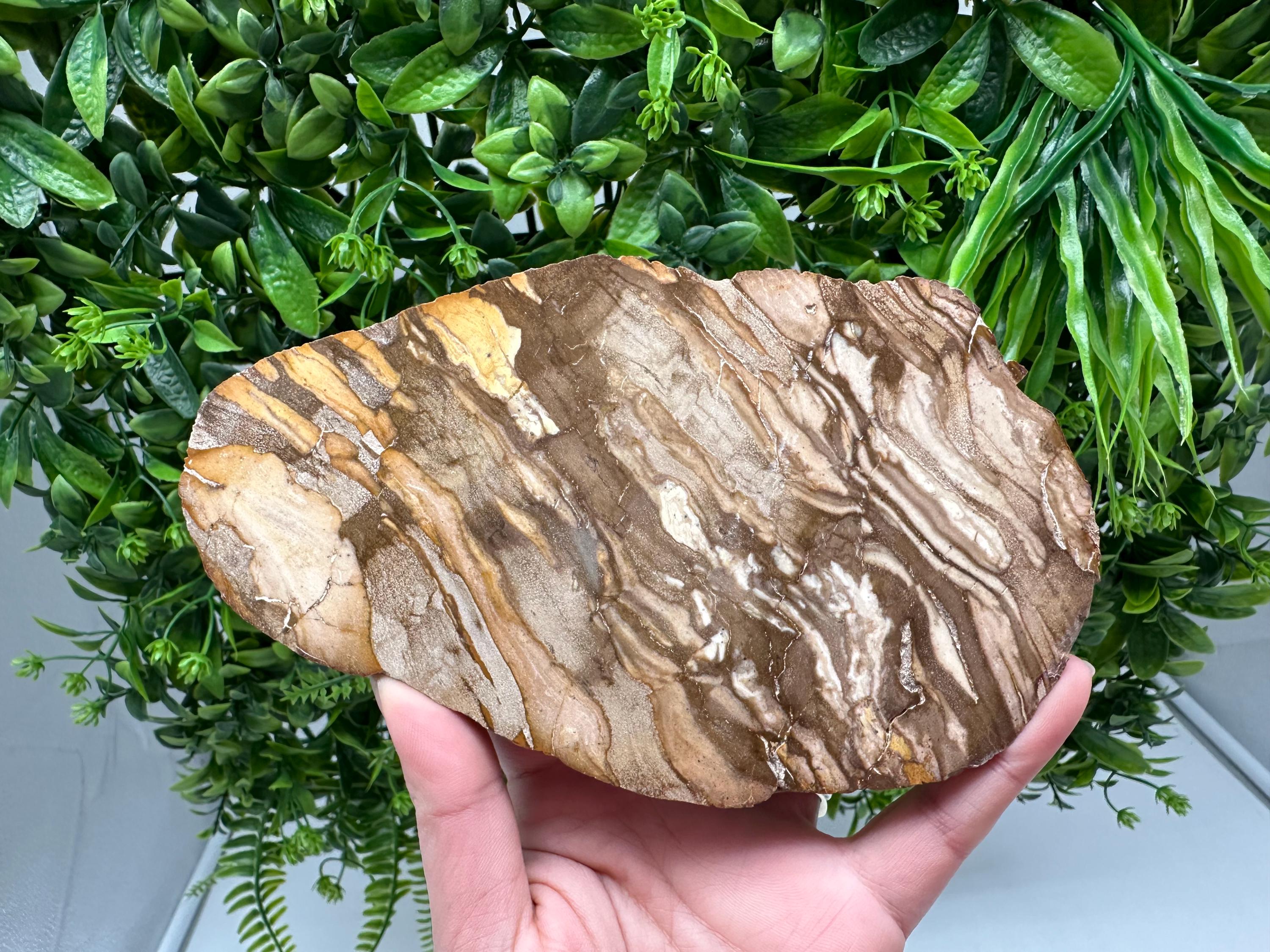 Polished Landscape Jasper Slab – Natural Scenic Stone Slice, Grounding Decor (18/11 CM)