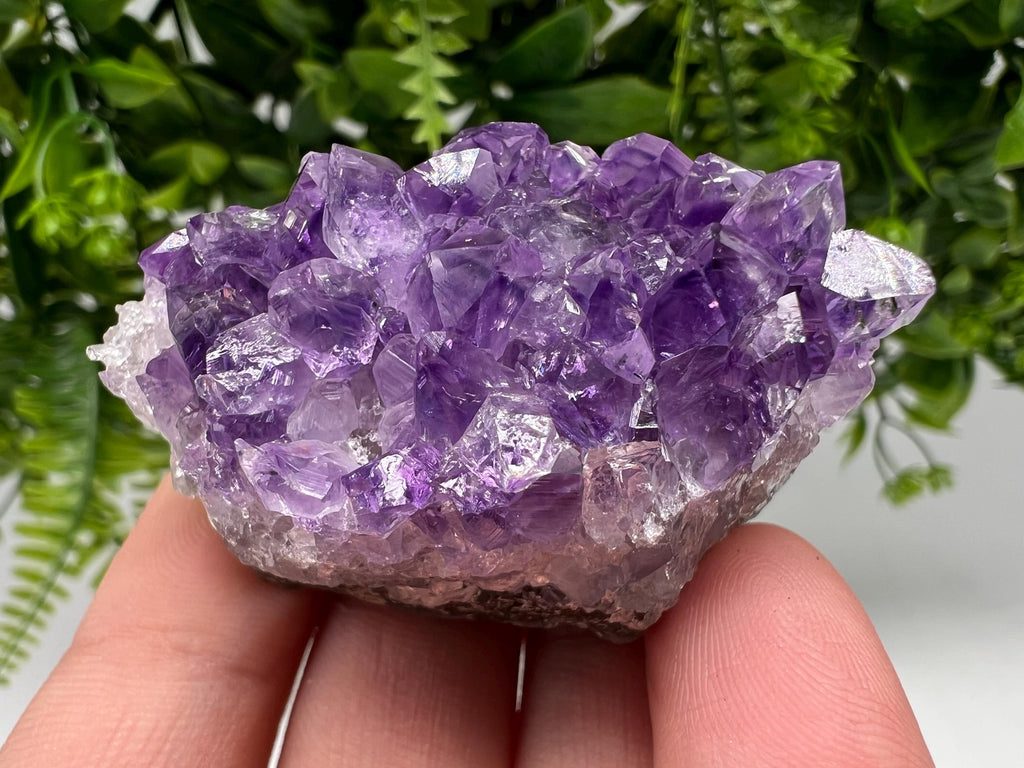Uruguay Amethyst Crystal: Purple Quartz Phantom - Home Decor