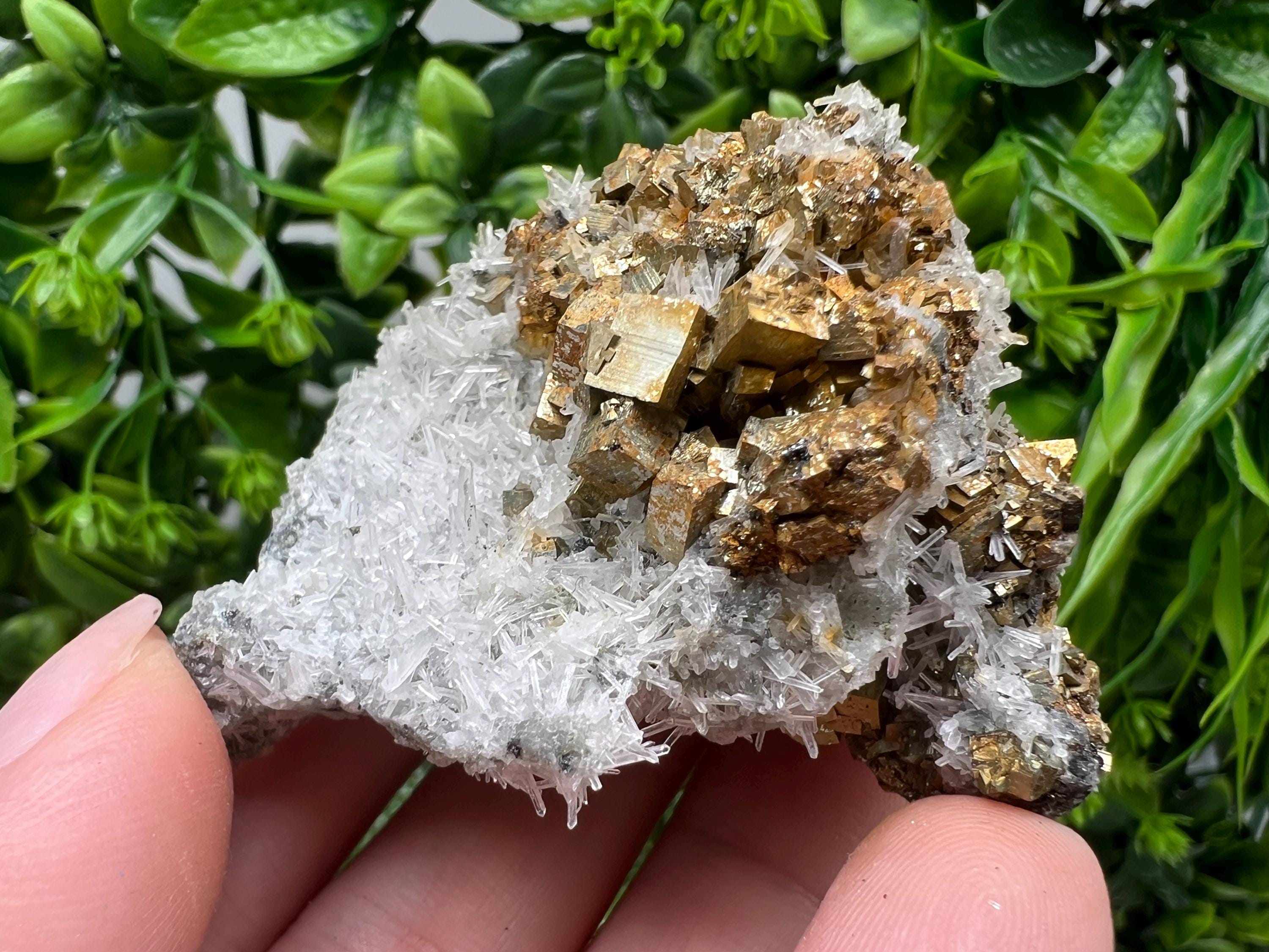 Pyrite on Green Quartz Mineral Specimen, Borieva Bulgaria