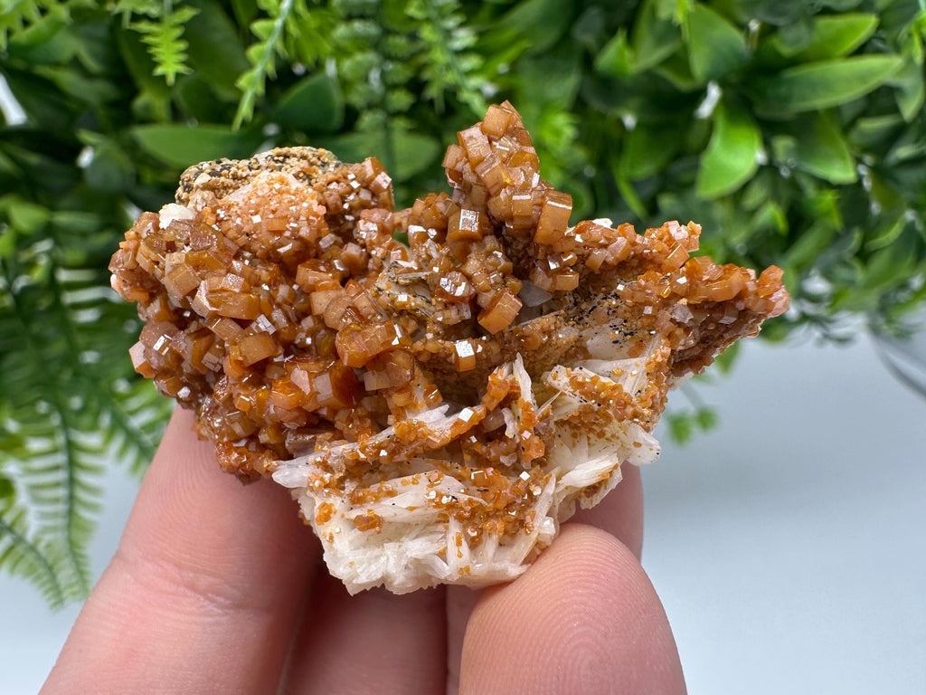 Red Vanadinite on Barite from Marocco,crystal minerals Speciment cluster Vanadinite crystal Vanadinite Geology Vanadinite cluster minerals