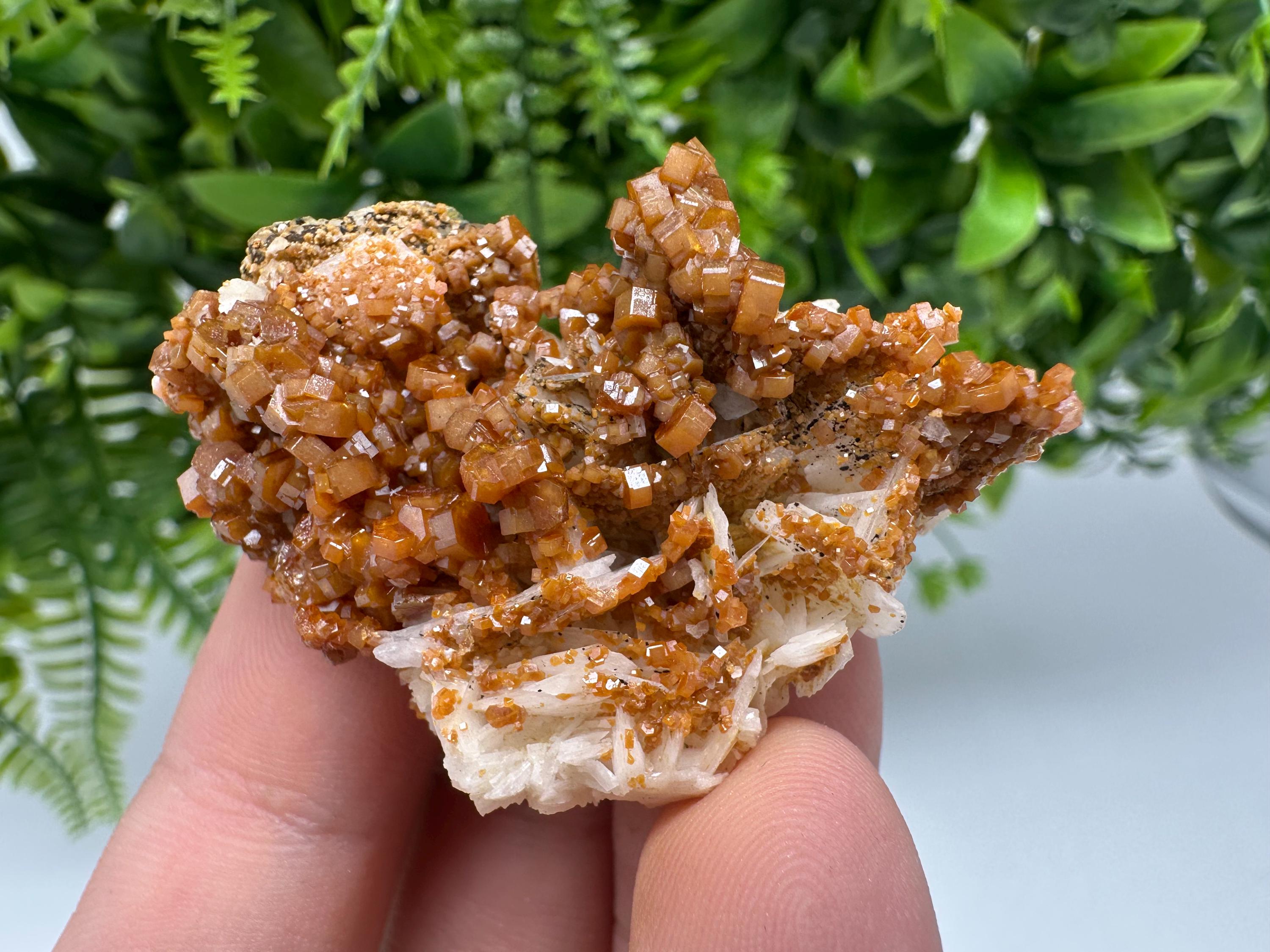 Red Vanadinite on Barite from Marocco,crystal minerals Speciment cluster Vanadinite crystal Vanadinite Geology Vanadinite cluster minerals
