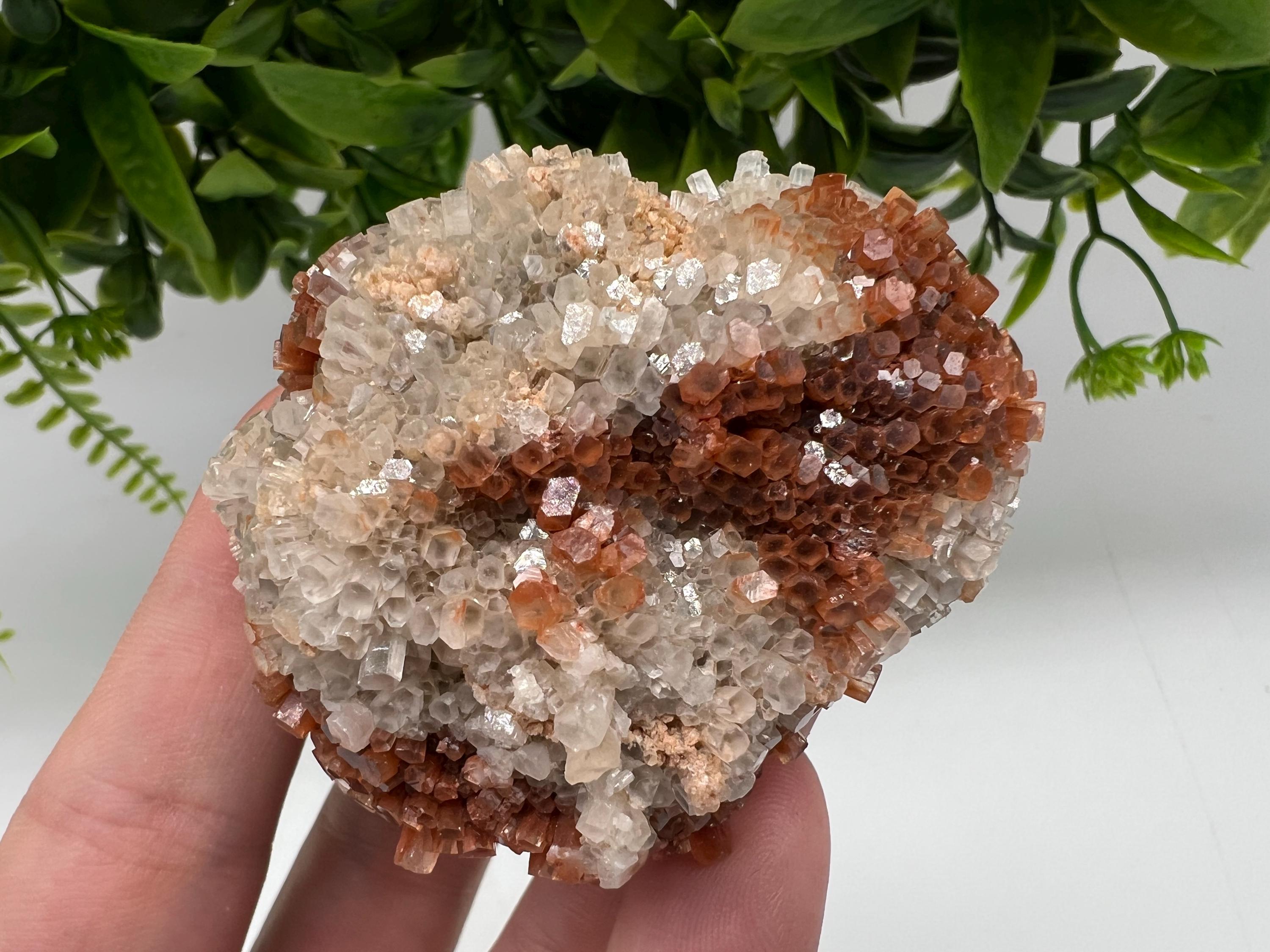Extra Large Aragonite Sputnik Cluster: Moroccan Raw Crystal Stone