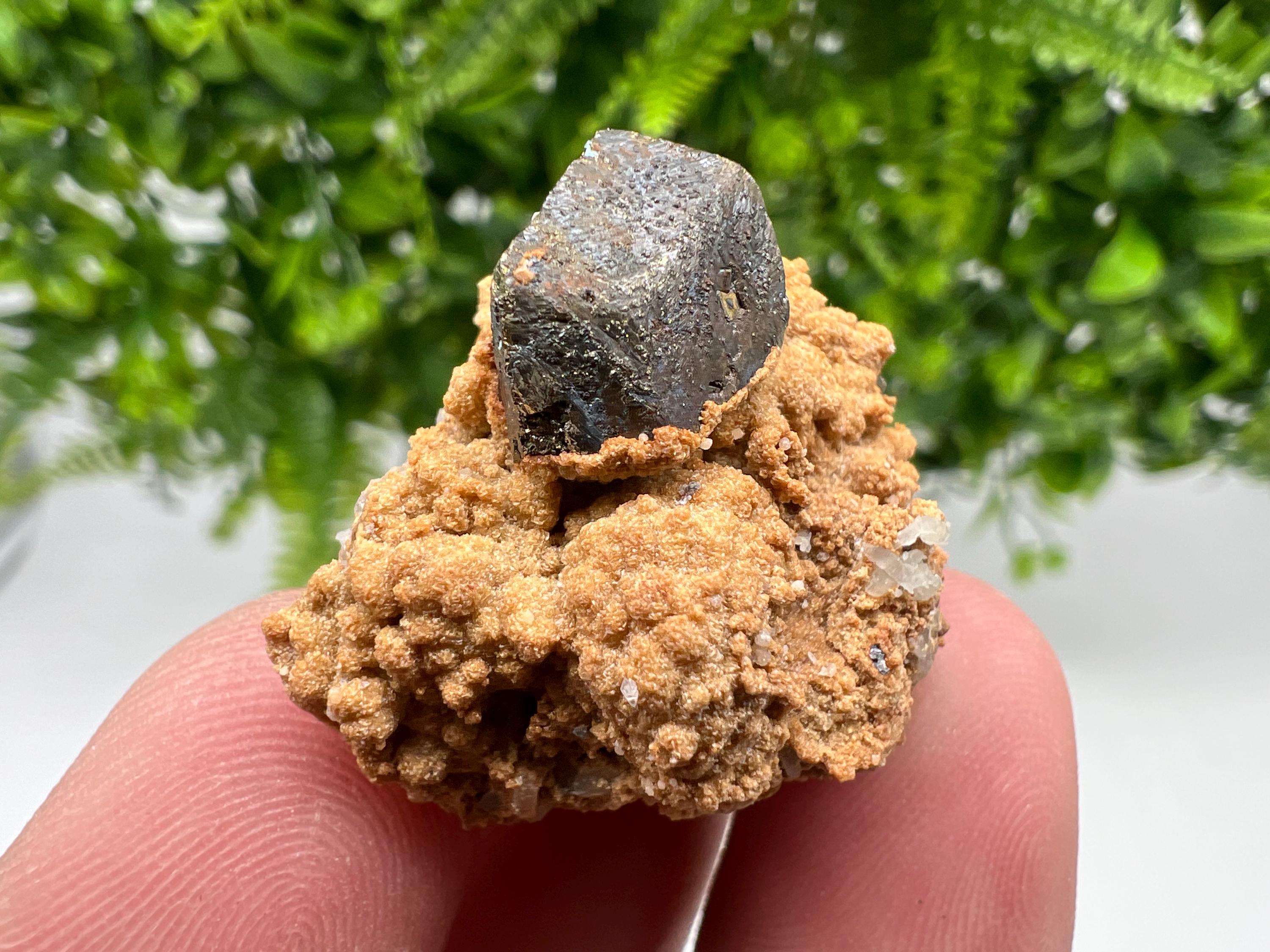 Chalcopyrite with Hematite on Siderite Specimen, Bulgaria Mineral Collection