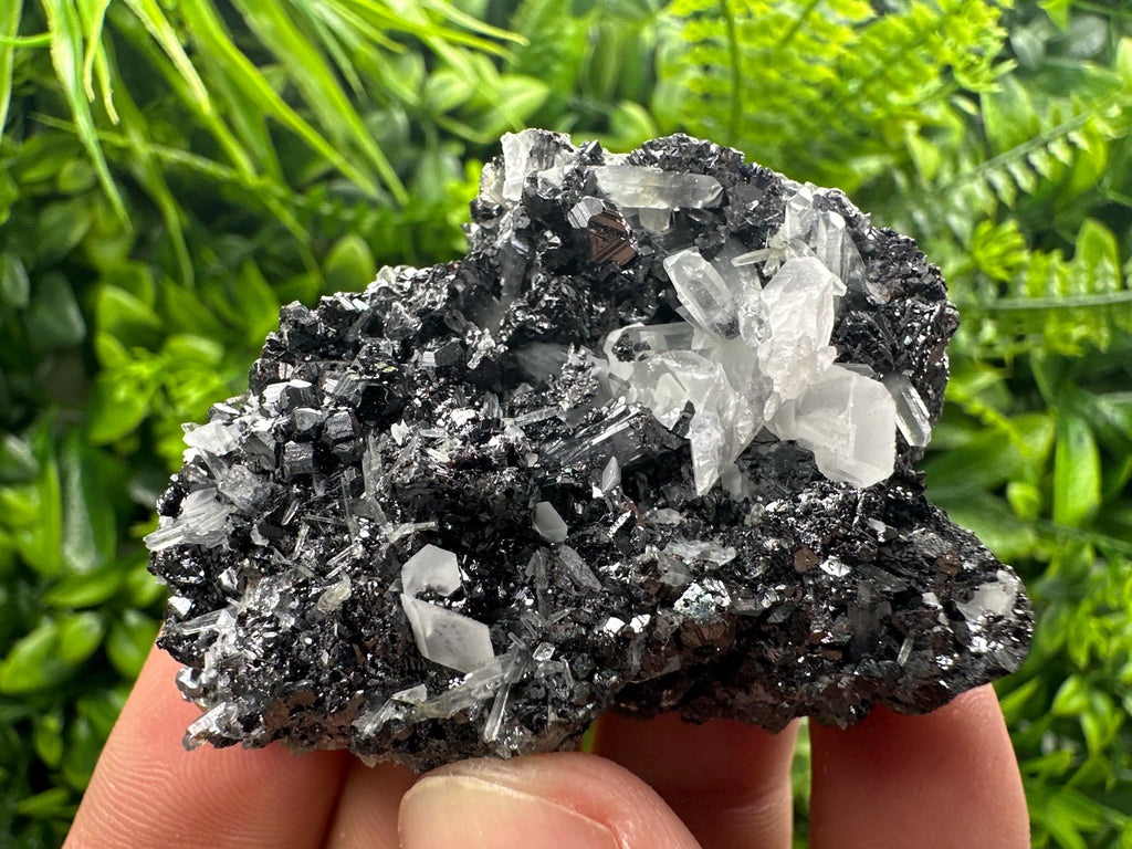 Black Sphalerite Cluster: Natural Mineral Souvenir, Borieva Bulgaria