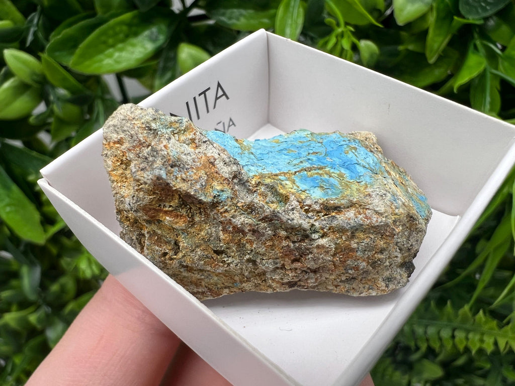 Rare Raw Aerinite Mineral Specimen: Lleida, Spain Crystal Collection