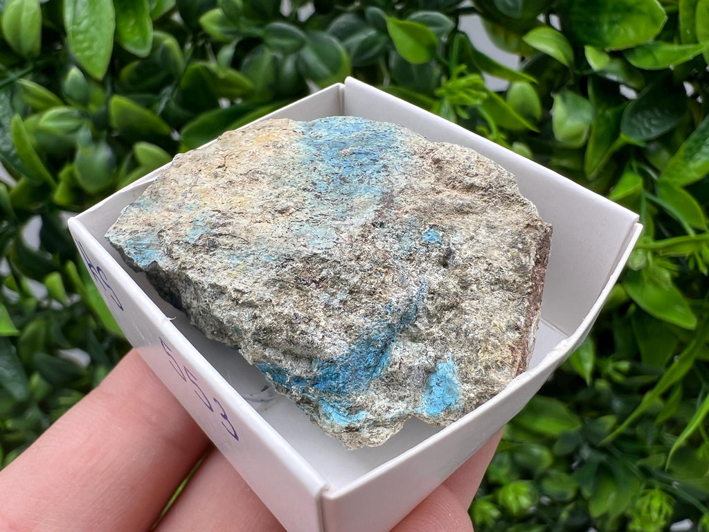 Rare Raw Aerinite Mineral Specimen: Lleida, Spain (4.5/3.5 CM)