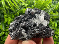 Black Sphalerite Cluster: Natural Mineral Souvenir, Borieva Bulgaria