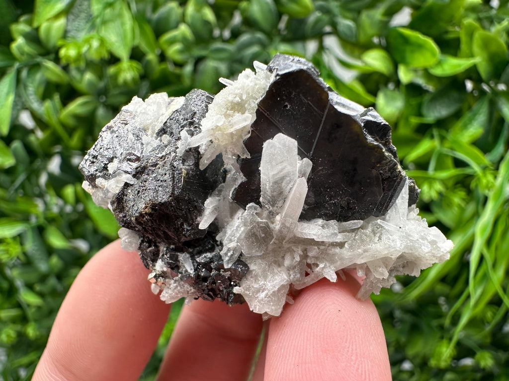 Wonderful Sphalerite Chalcopyrite on  Quartz whit Galena feom 9 th September mine,Bulgaria,natural,collection mineral specimen,gift