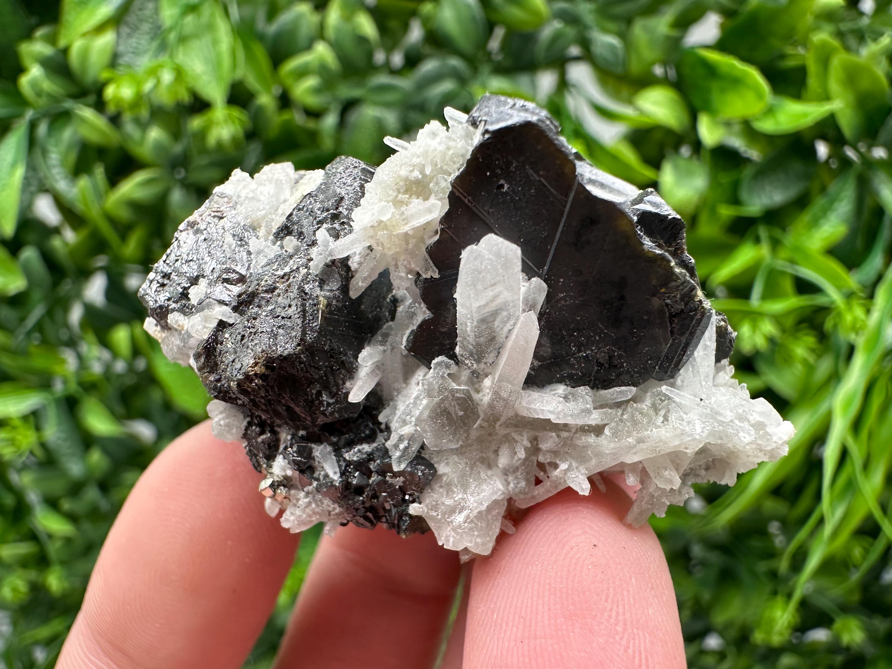 Wonderful Sphalerite Chalcopyrite on  Quartz whit Galena feom 9 th September mine,Bulgaria,natural,collection mineral specimen,gift