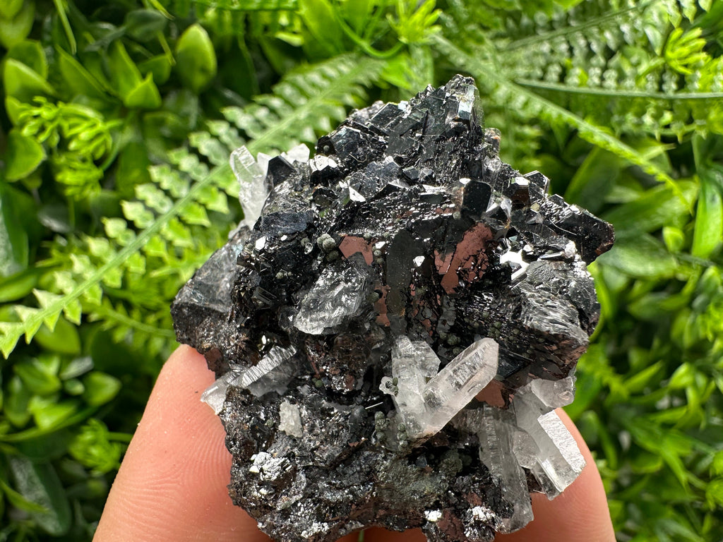 Borieva Sphalerite on Quartz: Rare Mineral Cluster