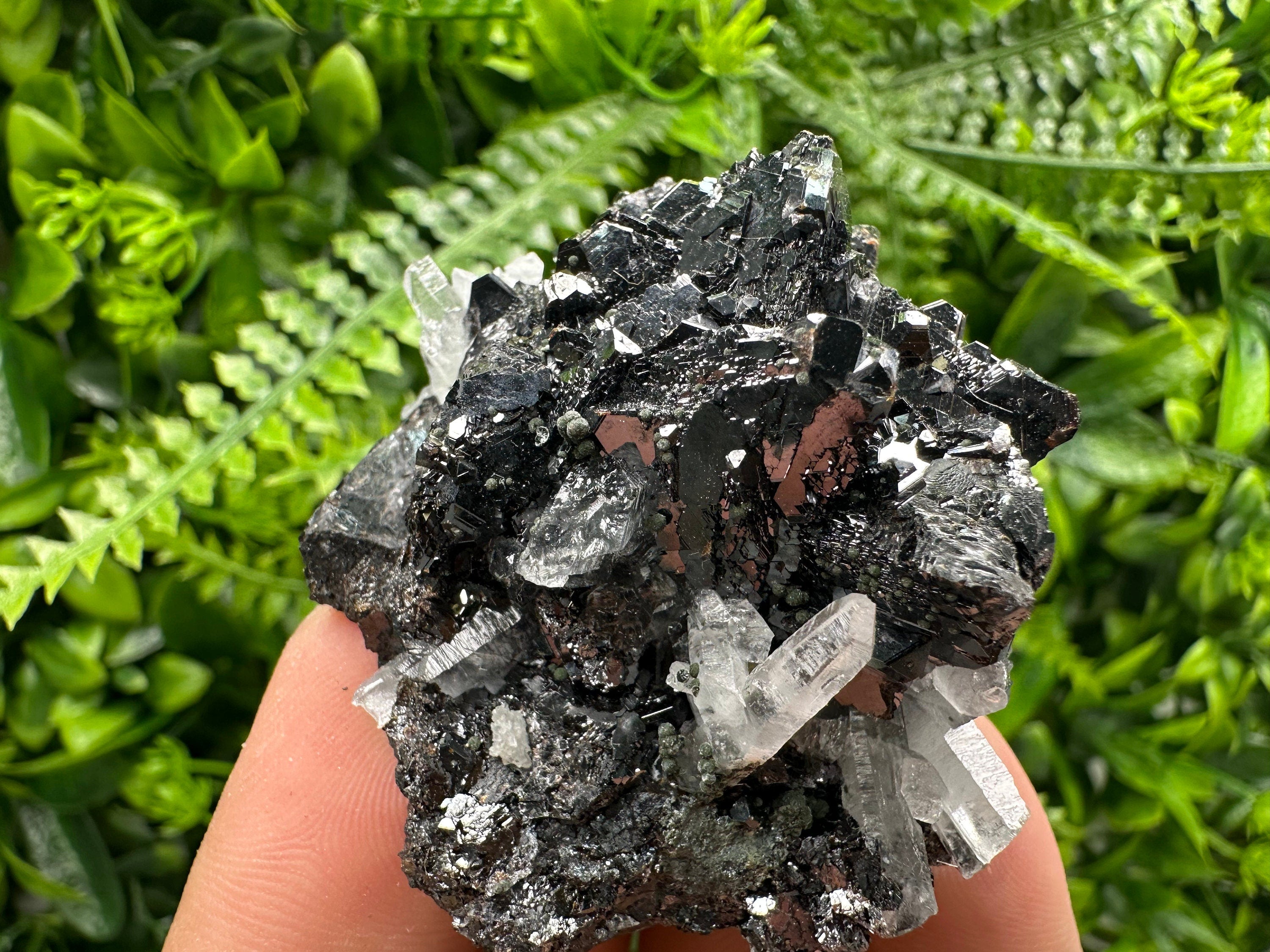 Borieva Sphalerite on Quartz: Rare Mineral Cluster