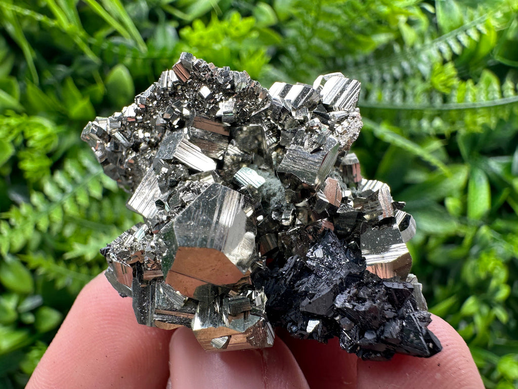 Golden Pyrite with Sphalerite Mineral Specimen, Borieva Mine, Bulgaria