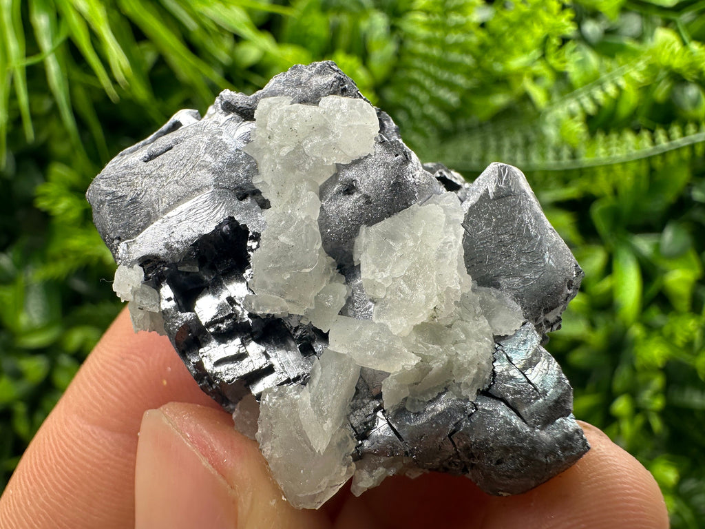 Galena Cluster: Borieva Mine, Madan, Bulgaria