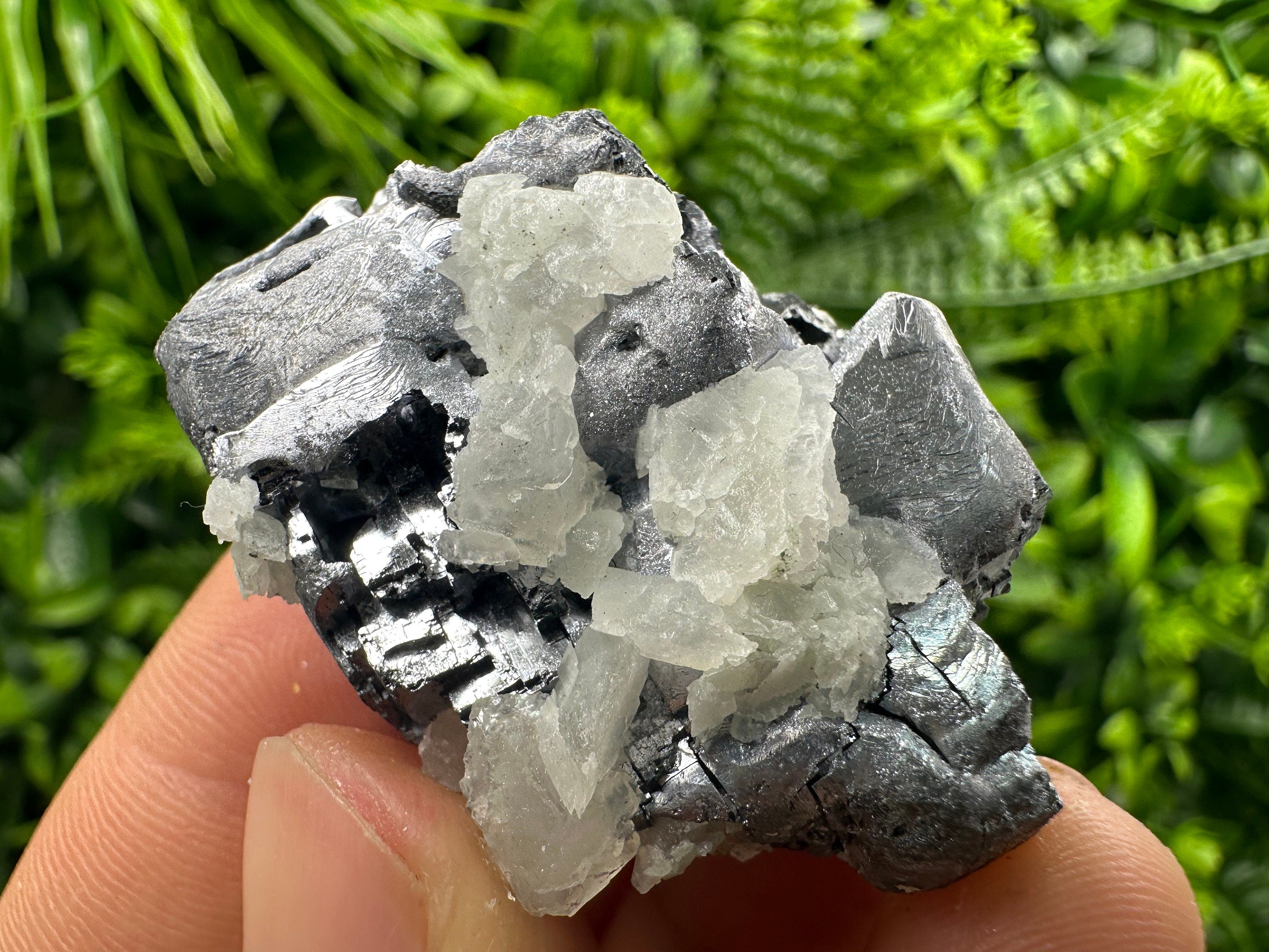 Galena Cluster: Borieva Mine, Madan, Bulgaria