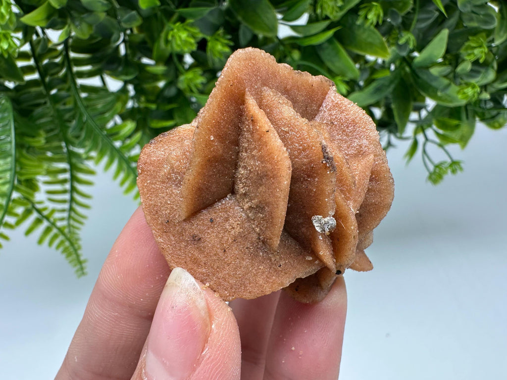 Natural Desert Rose Crystal – Root Chakra Selenite Stone, Home Decor