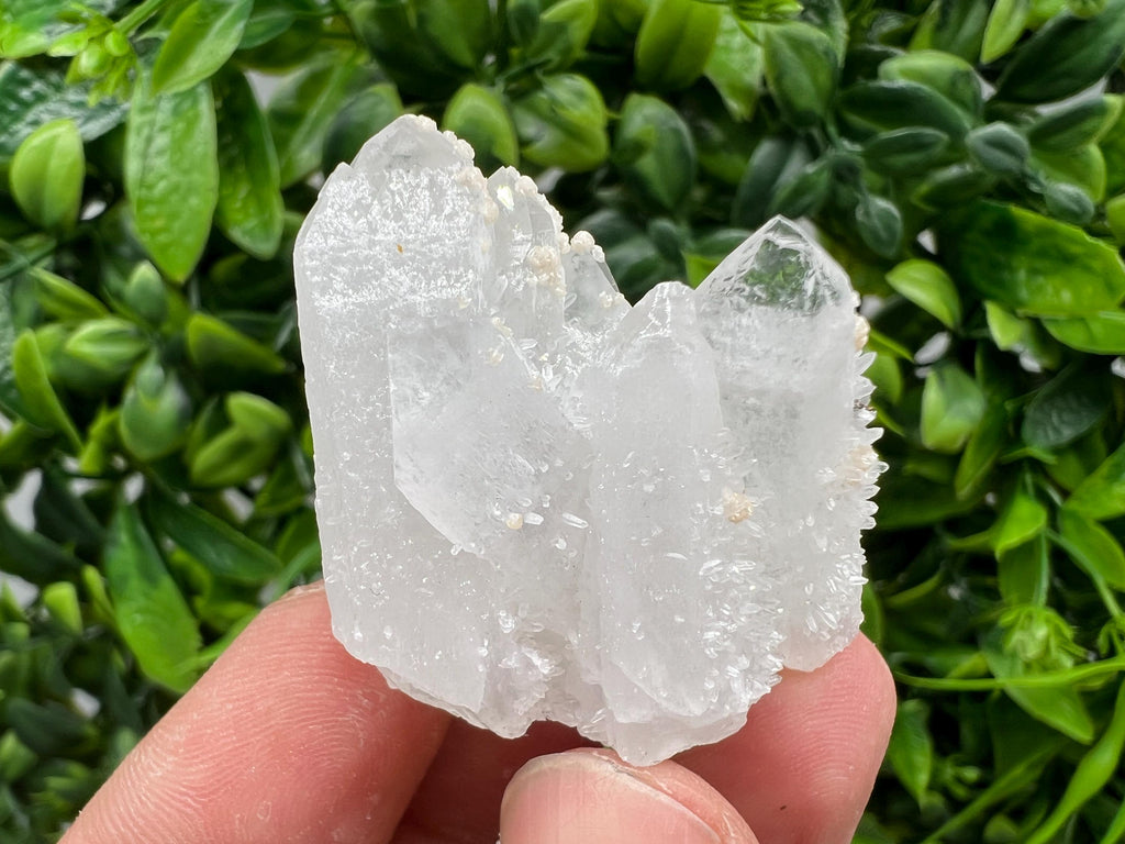 Quartz with Pyrite, Krushev dol Mine, Bulgaria, Crystal Decor Stone