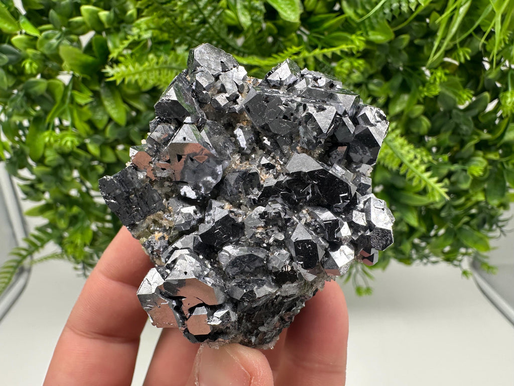 Galena with Quartz Specimen: Krushev Dol Mine, Bulgaria