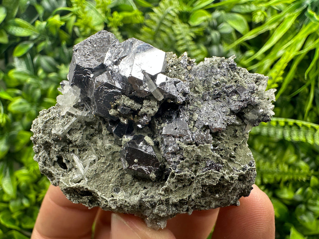 Galena on Quartz and Chlorite: Natural Minerals from Borieva Bulgaria