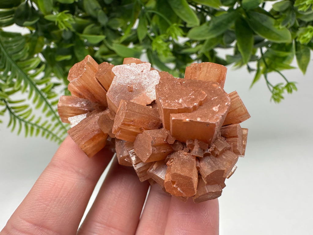 Aragonite Sputnik Cluster: Raw Moroccan Crystal Stone, Home Decor
