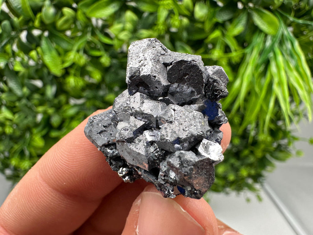 Shiny Galena Cluster: Borieva Mine, Bulgaria - Natural Mineral Stone