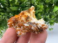 Red Vanadinite on Barite from Marocco,crystal minerals Speciment cluster Vanadinite crystal Vanadinite Geology Vanadinite cluster minerals