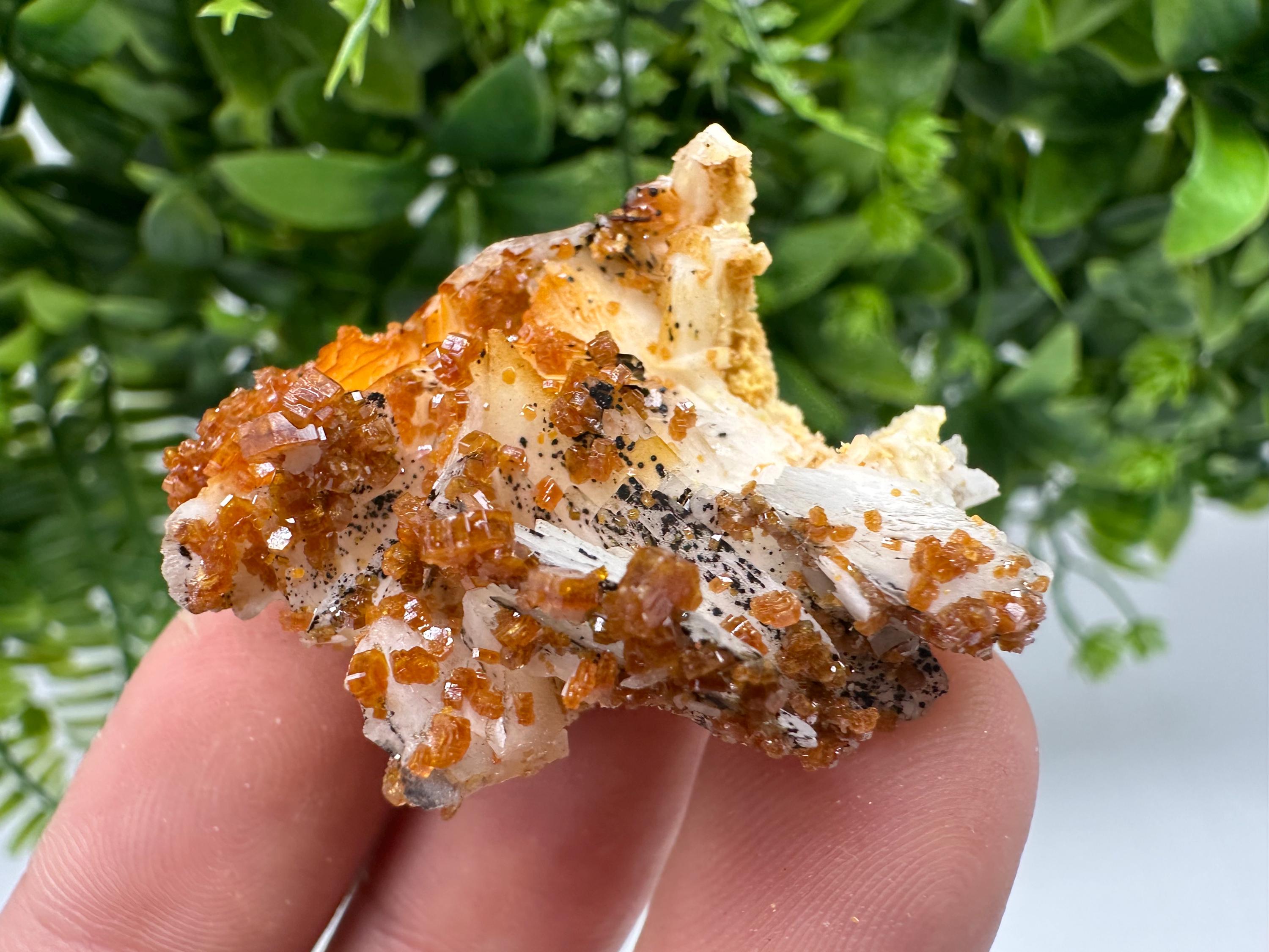 Red Vanadinite on Barite from Marocco,crystal minerals Speciment cluster Vanadinite crystal Vanadinite Geology Vanadinite cluster minerals