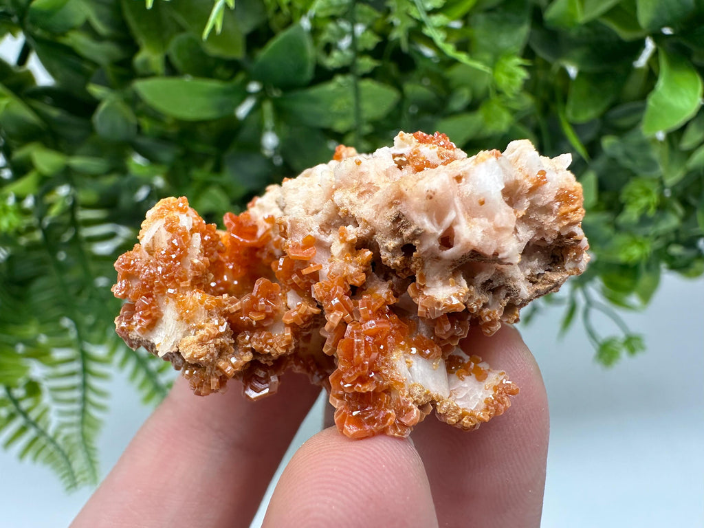 Red Vanadinite on Barite from Marocco,crystal minerals Speciment cluster Vanadinite crystal Vanadinite Geology Vanadinite cluster minerals