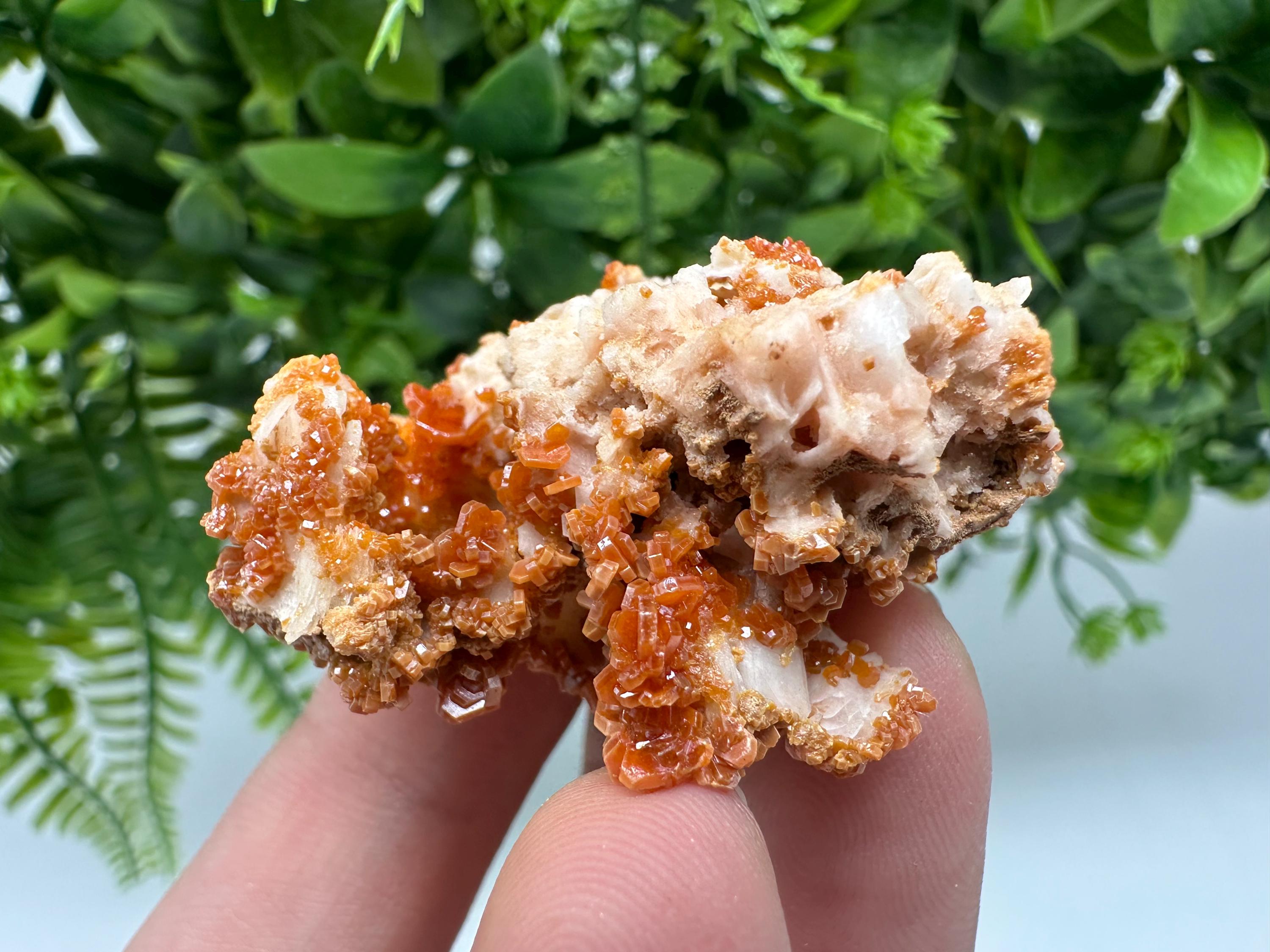 Red Vanadinite on Barite from Marocco,crystal minerals Speciment cluster Vanadinite crystal Vanadinite Geology Vanadinite cluster minerals