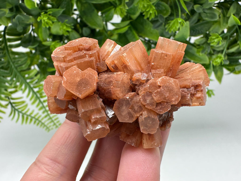 Aragonite Sputnik Cluster: Raw Moroccan Crystal Stone, Home Decor