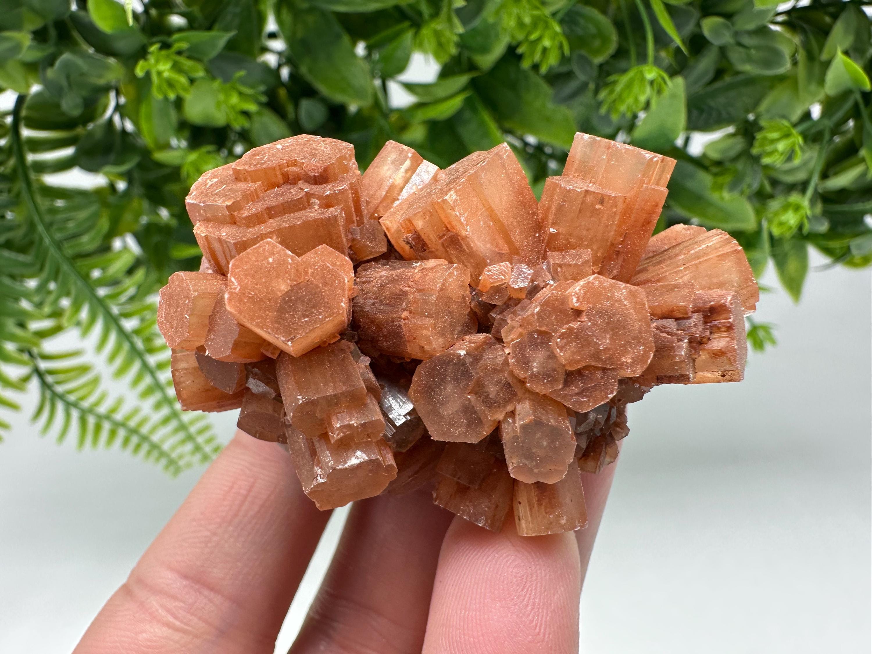 Aragonite Sputnik Cluster: Raw Moroccan Crystal Stone, Home Decor