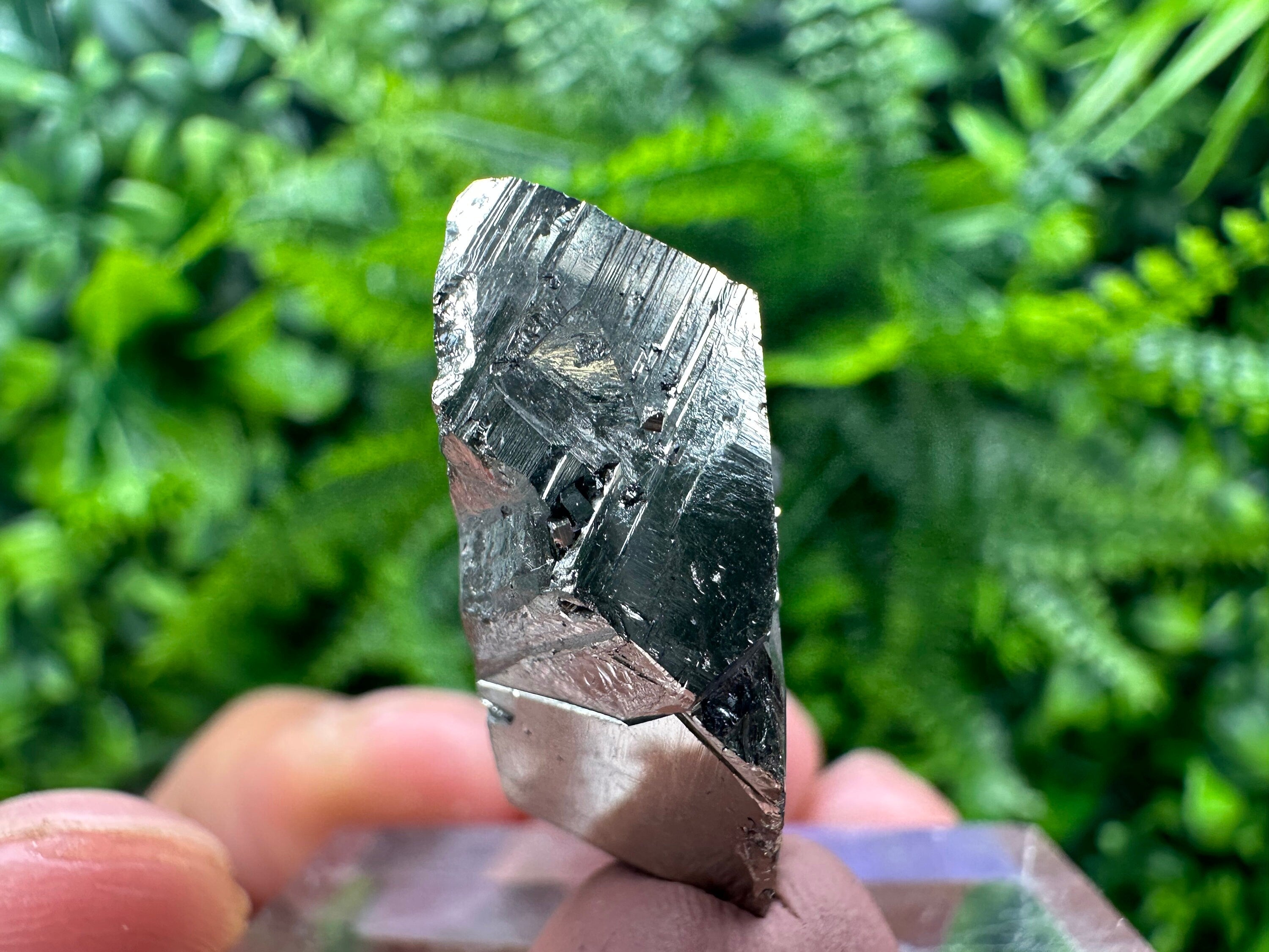 Rare Floating Pyrite Cluster, Borieva Mine, Home Decor Stone